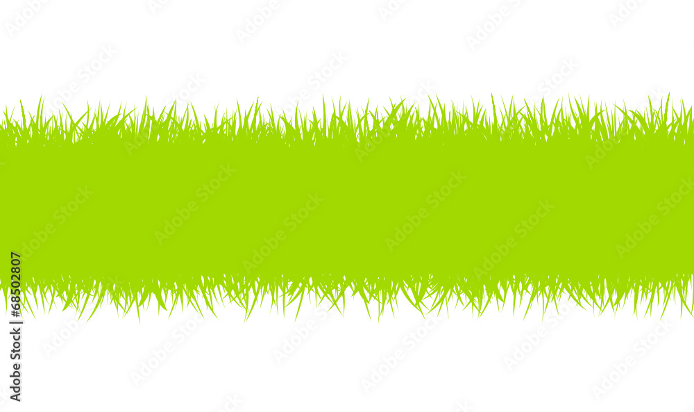 Fototapeta premium Gras Hintergrund Streifen