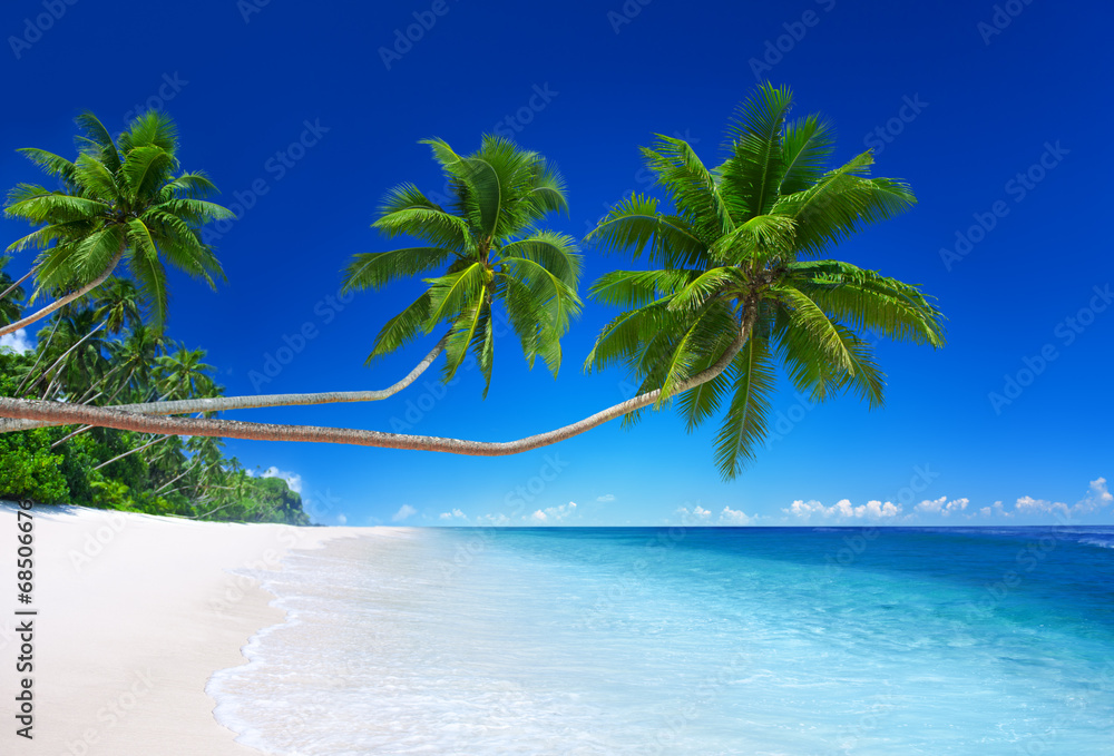 Tropical Paradise with Coastline Background