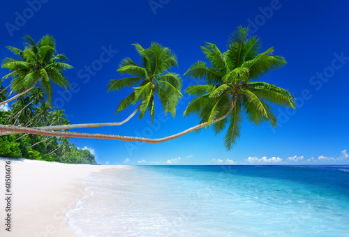 Tropical Paradise with Coastline Background