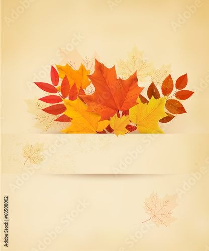 Retro autumn background with colorful leaves. Vector.