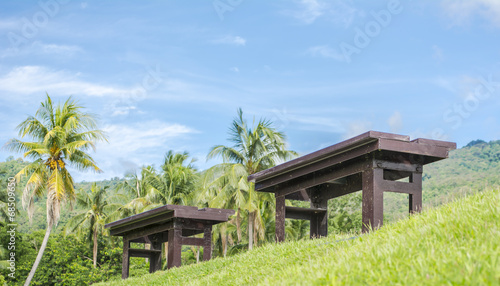 brown wooden bench at a green lake © coffmancmu