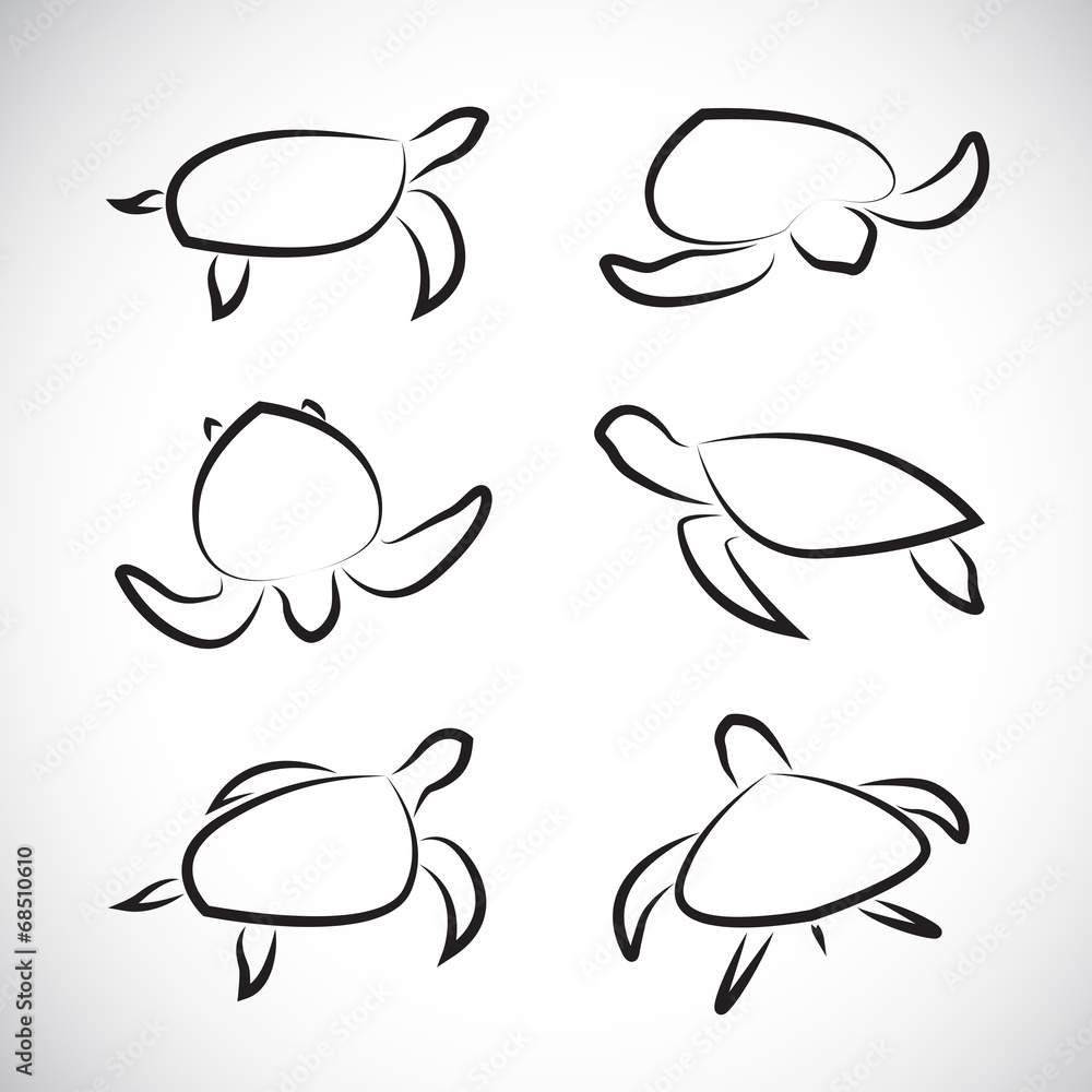 Obraz premium Vector group of turtle