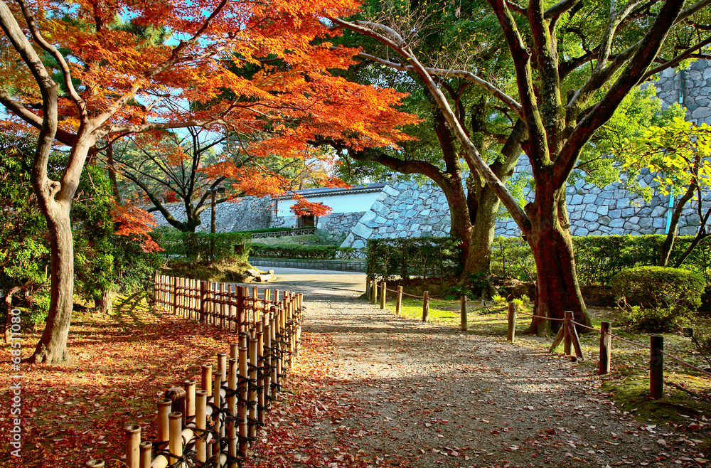 Naklejka premium japanese tea house