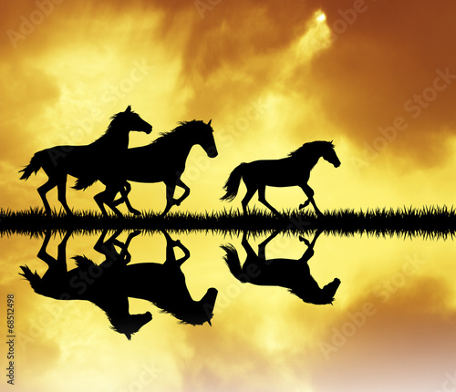 Fototapeta Naklejka Na Ścianę i Meble -  galloping horse at sunset