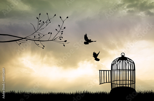 Canvas-taulu Cage for bird at sunset