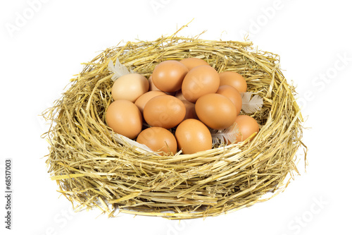 Nest with Brown Chicken Eggs and White Pens Isolated on White
