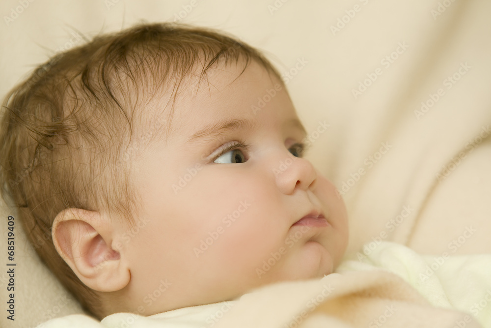 young baby portrait