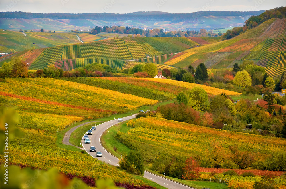 Germany autumn landscape with the view on vineyards