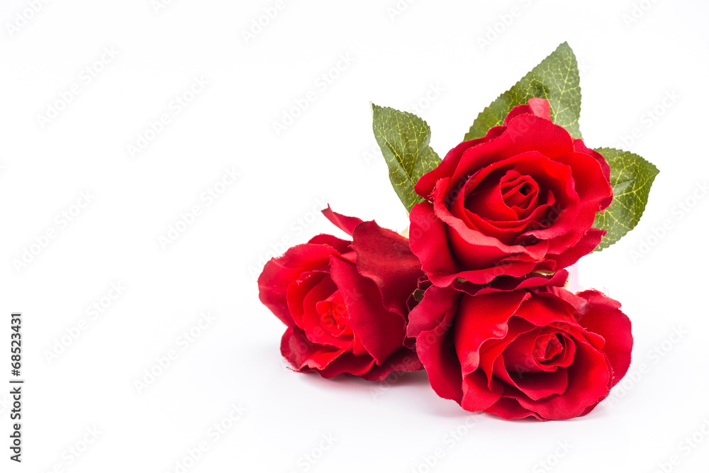 Beautiful red rose. Beautiful red rose.