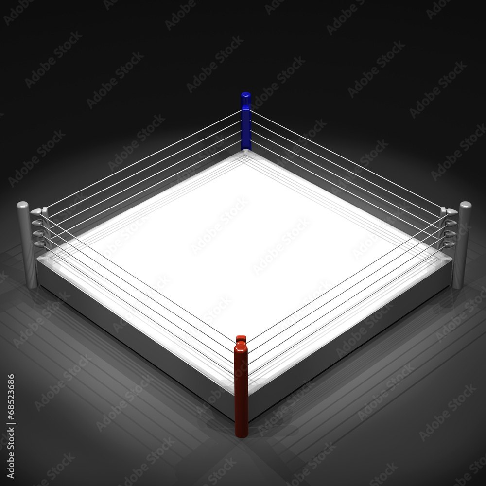Boxing ring muaythai IFMA approved – wesingstore.com