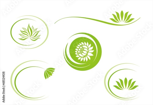 water lily , Buddha , Eco friendly business logo