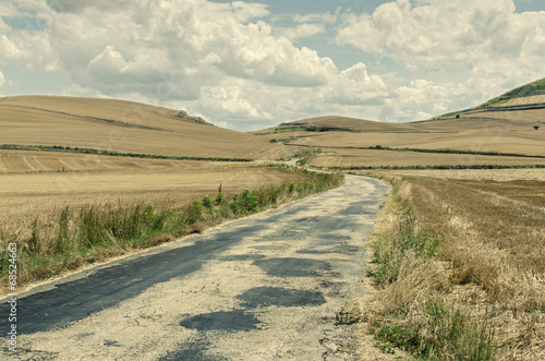 Country lane © villorejo