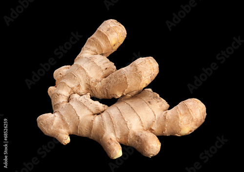 Gringer root on black