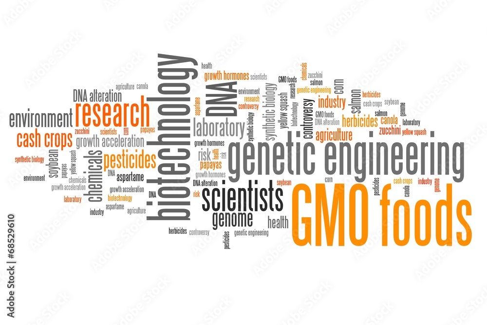 GMO foods - word cloud concept GMO foods - word cloud concept