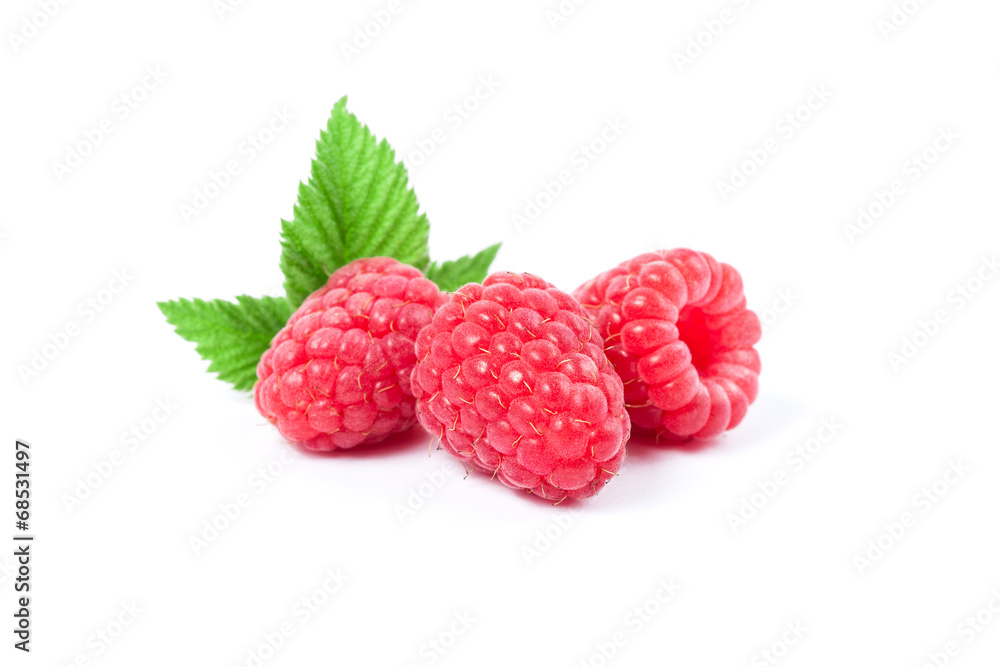 Isolated raspberry Isolated raspberry