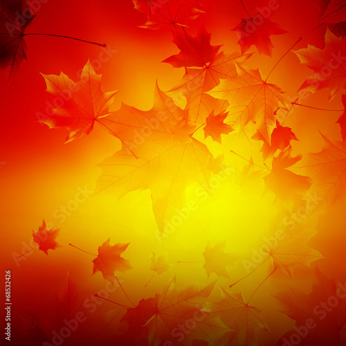 Delicate autumn sun with glare on gold sky.