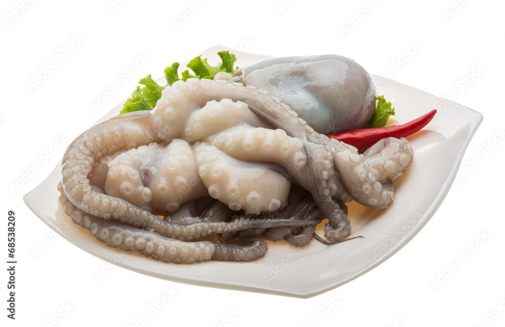 Raw octopus Raw octopus
