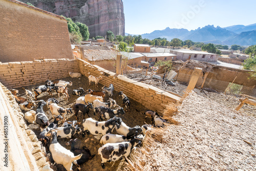 Goat Pen photo