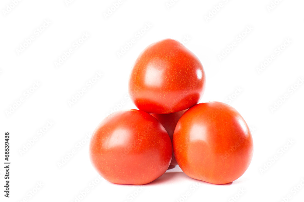 red tomatoes on white background red tomatoes on white background