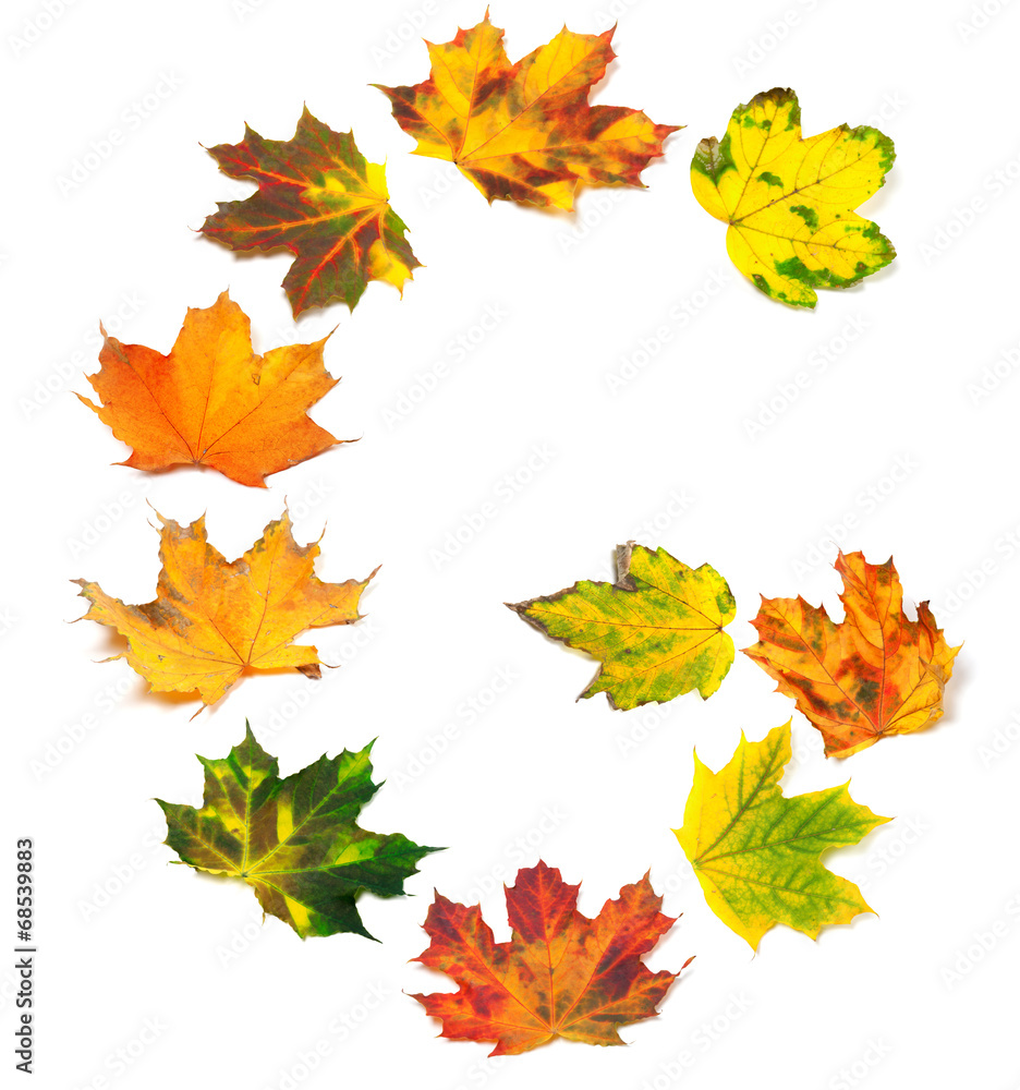 Letter G composed of autumn maple leafs Letter G composed of autumn maple leafs