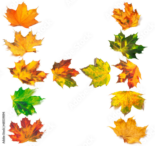 Letter H composed of autumn maple leafs