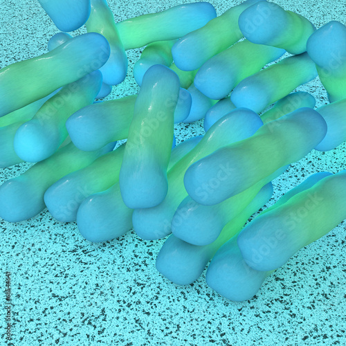 Shigella dysenteriae - 3d Render photo