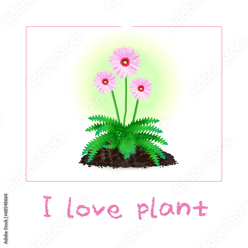 i love plant photo