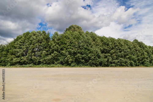Sky, Flora And Gravel