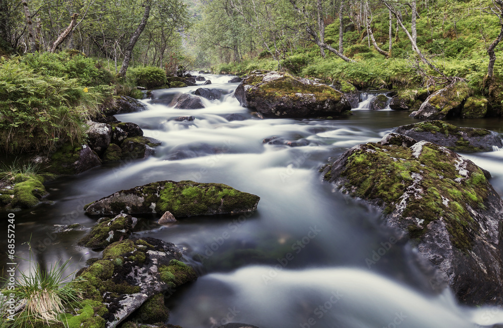 Creek in forest Creek in forest