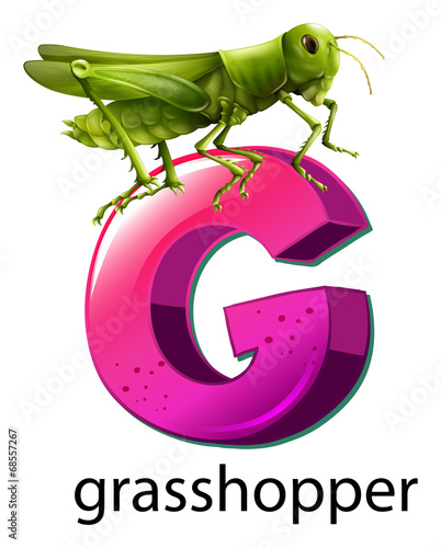 A letter G for grasshopper
