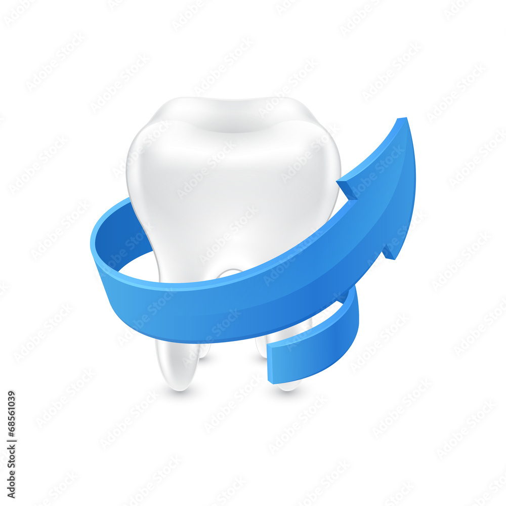 All around protected human teeth on white background