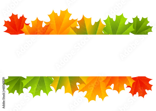 Autumn maple border for Your design