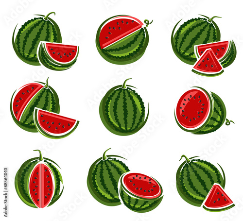 Watermelon set. Vector