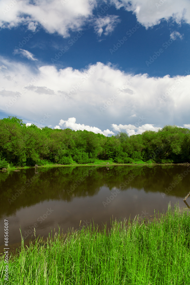 Pond, trees and blue sky - obrazy, fototapety, plakaty 