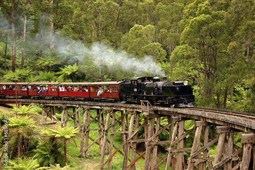 Puffing Billy, old steam train in Australia photo
