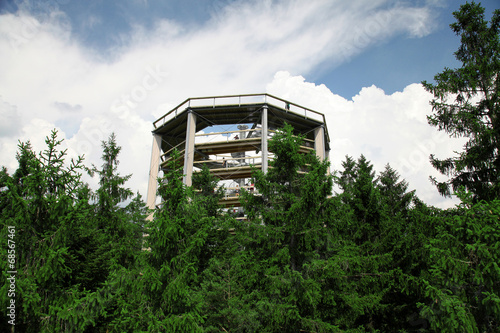 Treetop walkway  Czech Republic