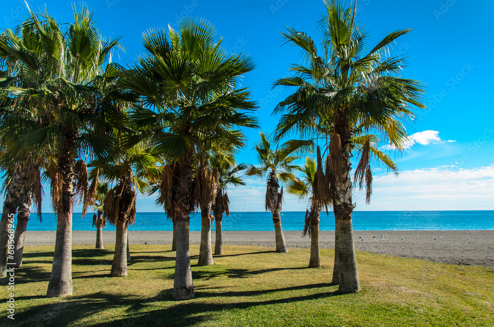 Strand und Palmen in Benalmadena Spanien