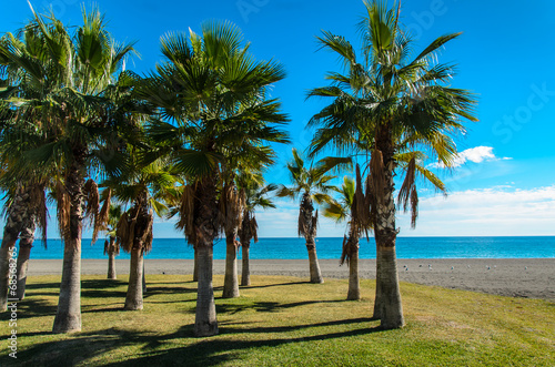 Strand und Palmen in Benalmadena Spanien