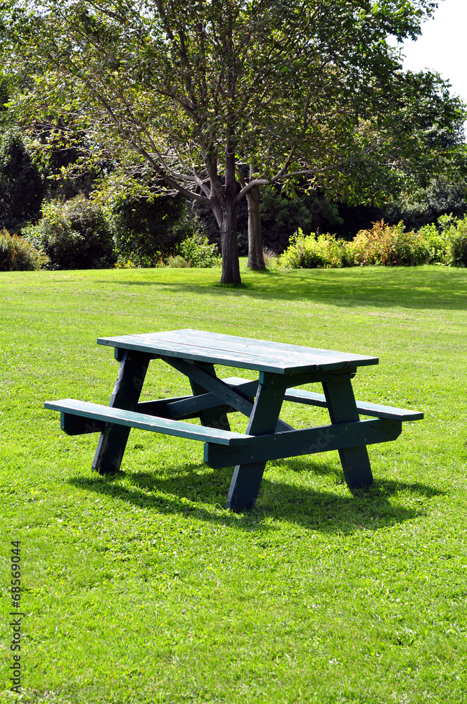 Picnic table at park on a sunny day.