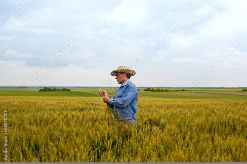 Farmer with a hat in the wheat field
