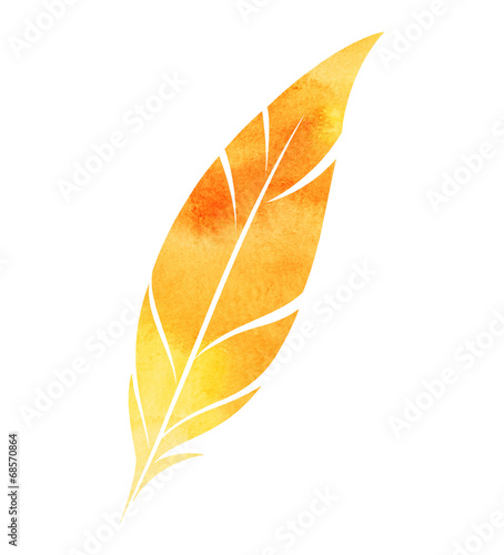 Watercolor feather