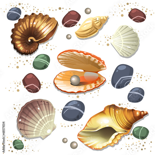 Shell