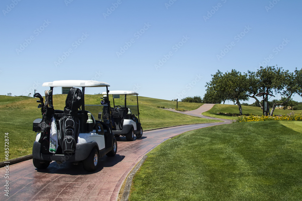 Landscape view of two golf cars on a golf course.