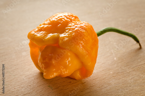 Trinidad Moruga Scorpion Yellow
