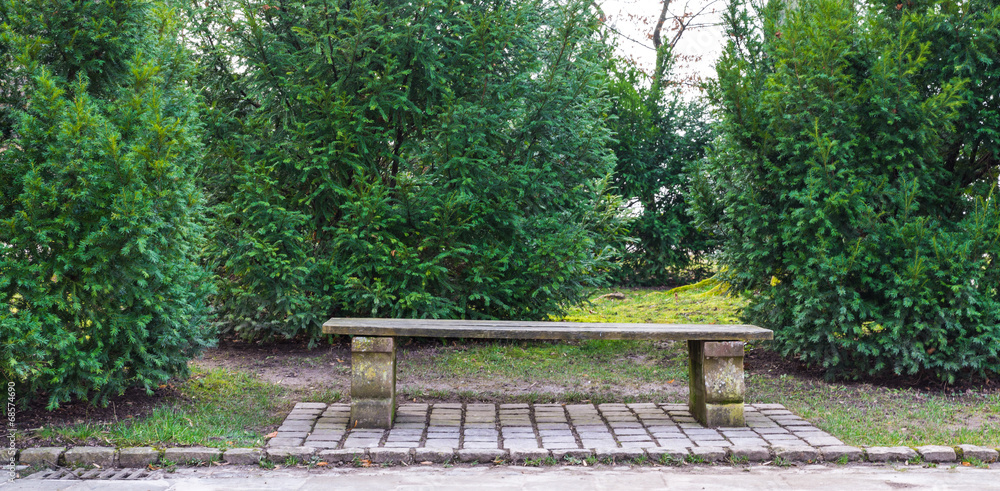 A stone bench in the green garden