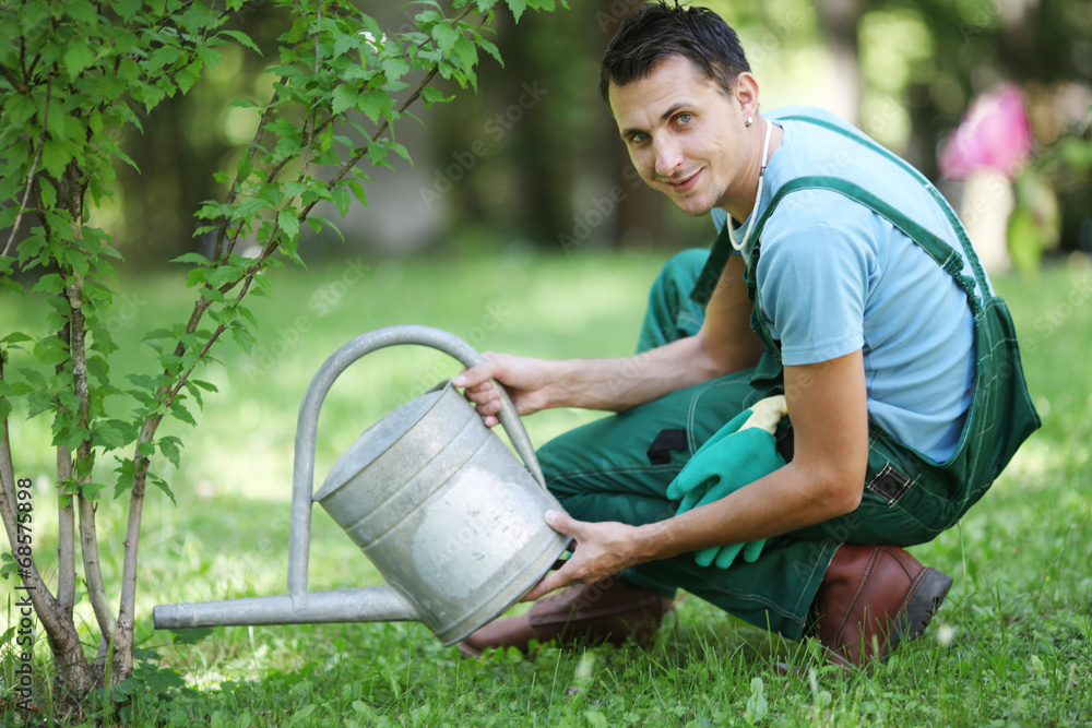 Gärtner beim Gießen Stock Photo Adobe Stock
