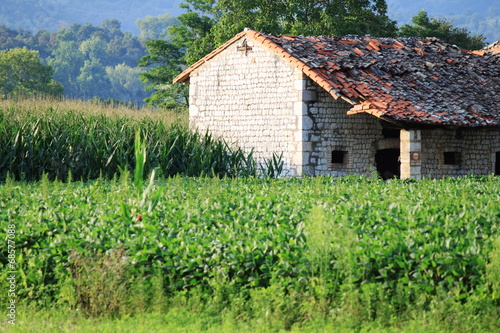 Old house in the fields
