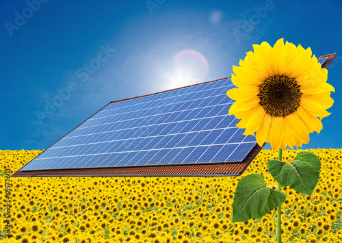 Solarkollektoren mit Sonnenblumen