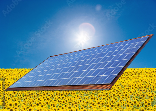 Solarkollektoren mit Sonnenblumen