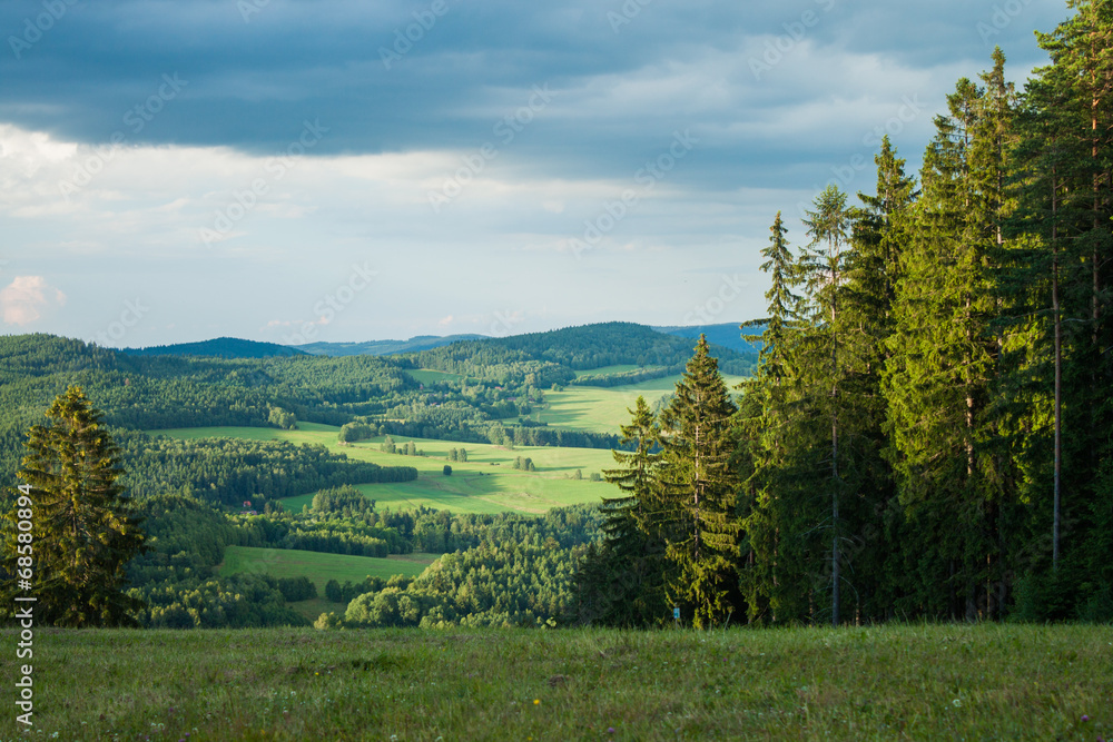 View from a mountain in Lipno - Czech Republic View from a mountain in Lipno - Czech Republic